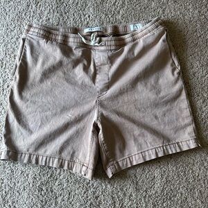 PacSun Volley Shorts (large)